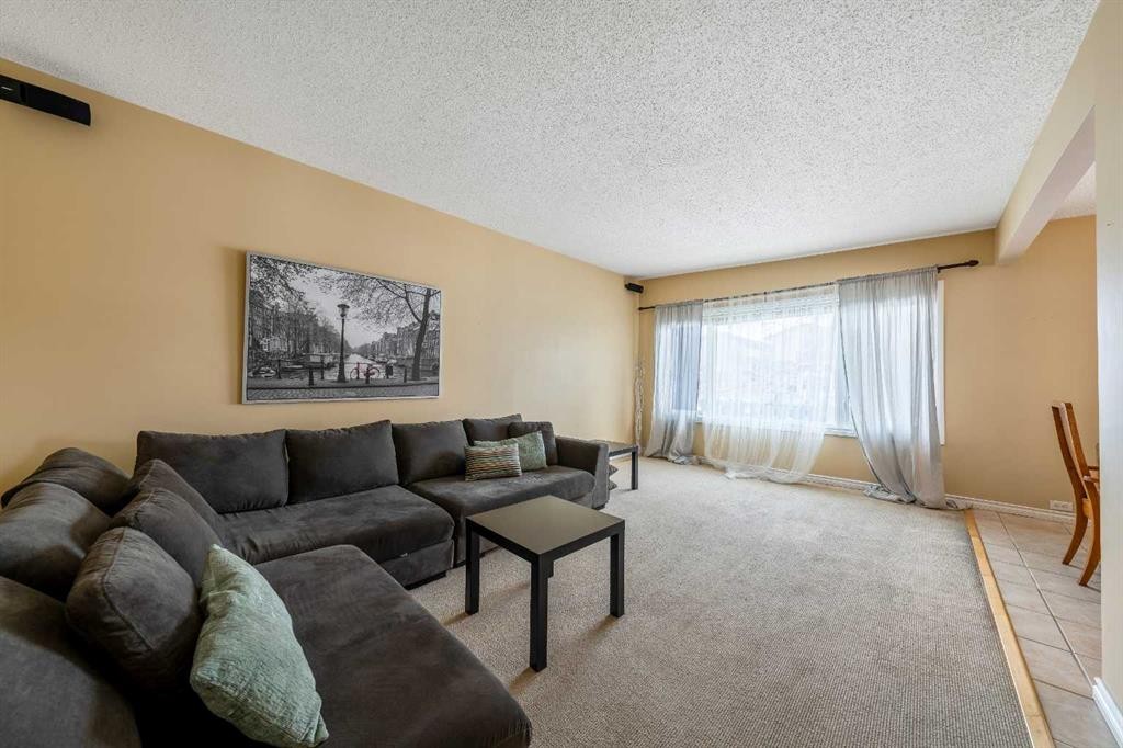 1017 Mckinnon Drive Ne, Calgary, AB - Indoor Photo Showing Living Room