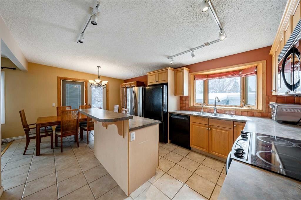 1017 Mckinnon Drive Ne, Calgary, AB - Indoor Photo Showing Kitchen With Double Sink