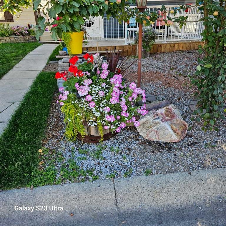 131 Woodglen Way Sw, Calgary, AB - Outdoor