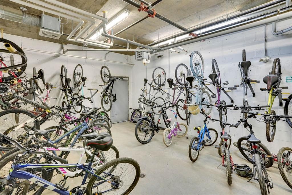 228-10 Westpark Link Sw, Calgary, AB - Indoor Photo Showing Garage