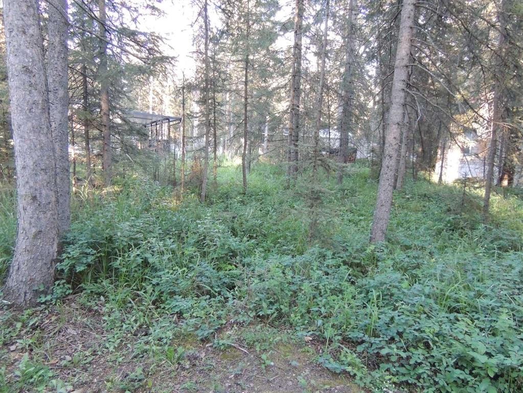 9 Timber Trail, Sundre, AB