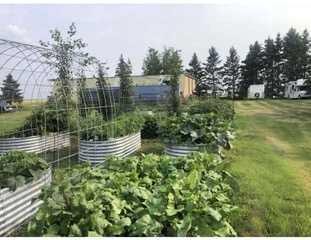 33233 Range Road 284, Rural Mountain View County, AB - Outdoor