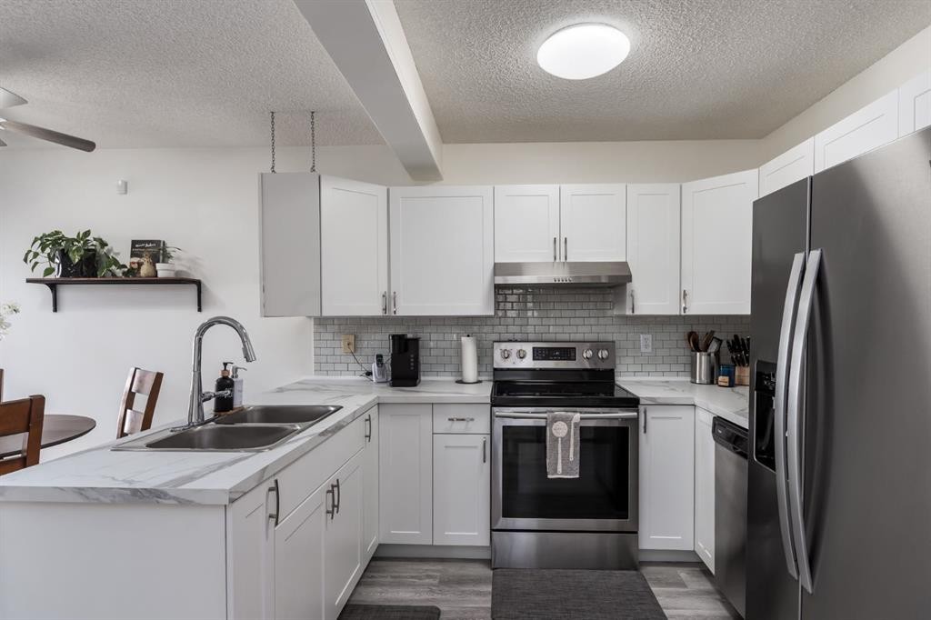 303 Coventry Close Ne, Calgary, AB - Indoor Photo Showing Kitchen With Double Sink