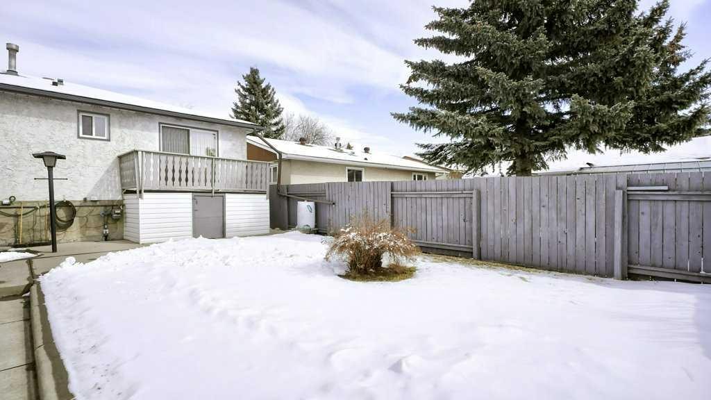 103 Rundlehorn Crescent Ne, Calgary, AB - Outdoor With Deck Patio Veranda
