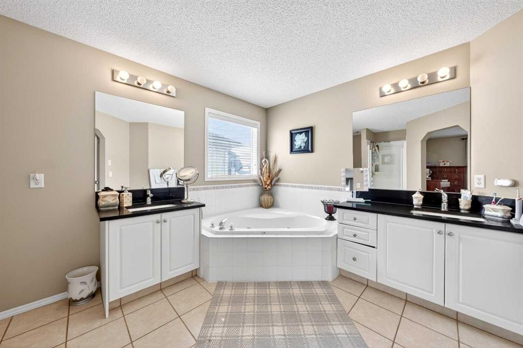 238 Royal Birch View Nw, Calgary, AB - Indoor Photo Showing Bathroom