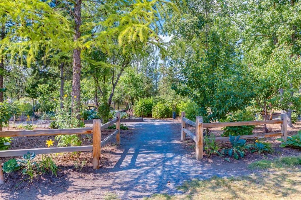 68 Silver Ridge Court Nw, Calgary, AB - Outdoor