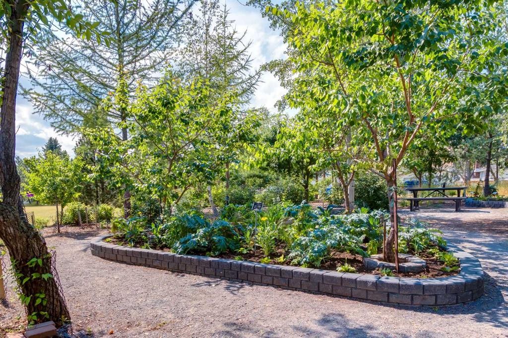 68 Silver Ridge Court Nw, Calgary, AB - Outdoor