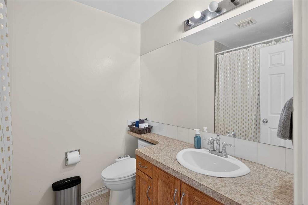 247 Templewood Road Ne, Calgary, AB - Indoor Photo Showing Bathroom
