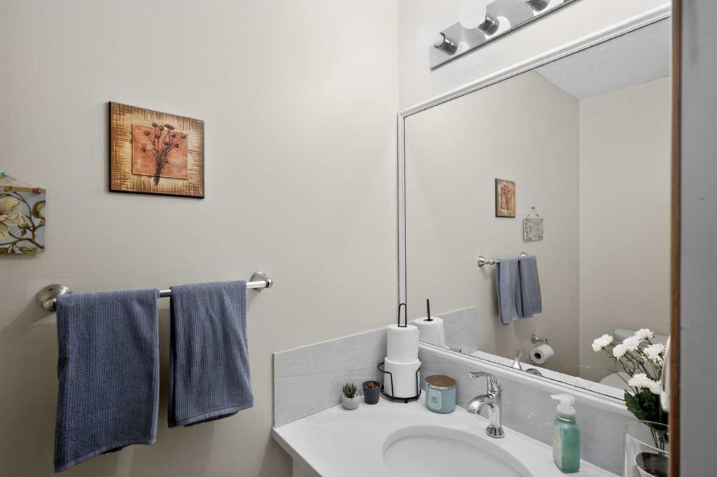 247 Templewood Road Ne, Calgary, AB - Indoor Photo Showing Bathroom