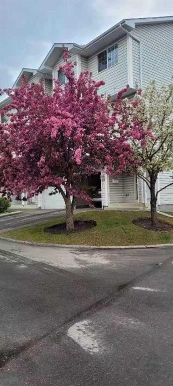 404 Hawkstone Manor Nw, Calgary, AB - Outdoor