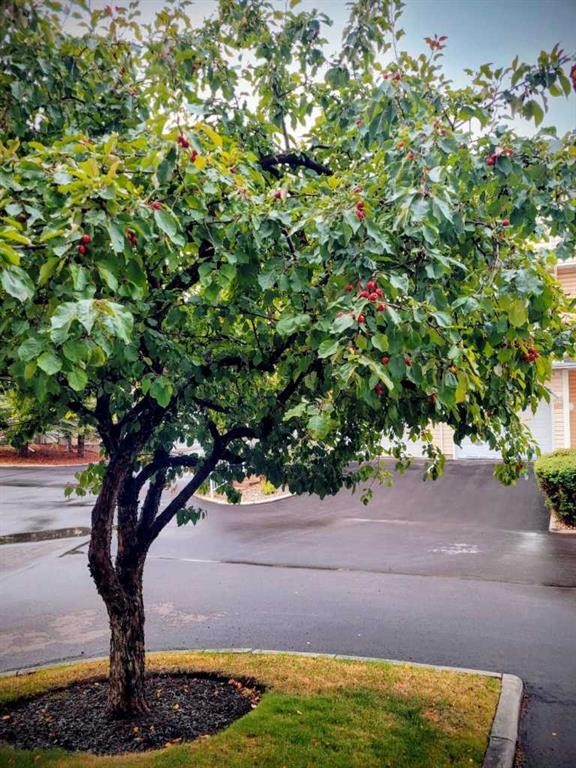 404 Hawkstone Manor Nw, Calgary, AB - Outdoor