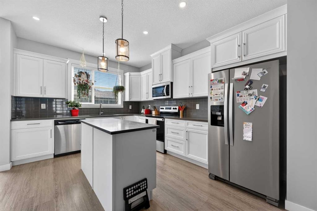 29 Skyview Parade Ne, Calgary, AB - Indoor Photo Showing Kitchen With Stainless Steel Kitchen With Upgraded Kitchen
