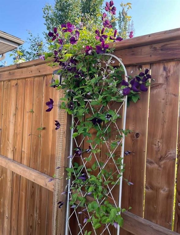 60 Inverness Drive Se, Calgary, AB - Outdoor