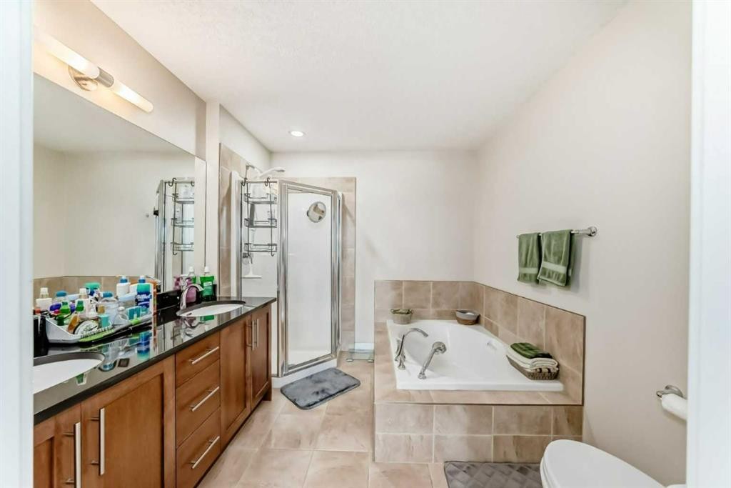 210-1005A Westmount Drive, Strathmore, AB - Indoor Photo Showing Bathroom