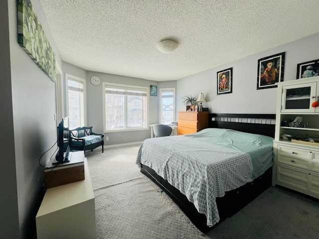 125 Saddlebrook Circle Ne, Calgary, AB - Indoor Photo Showing Bedroom