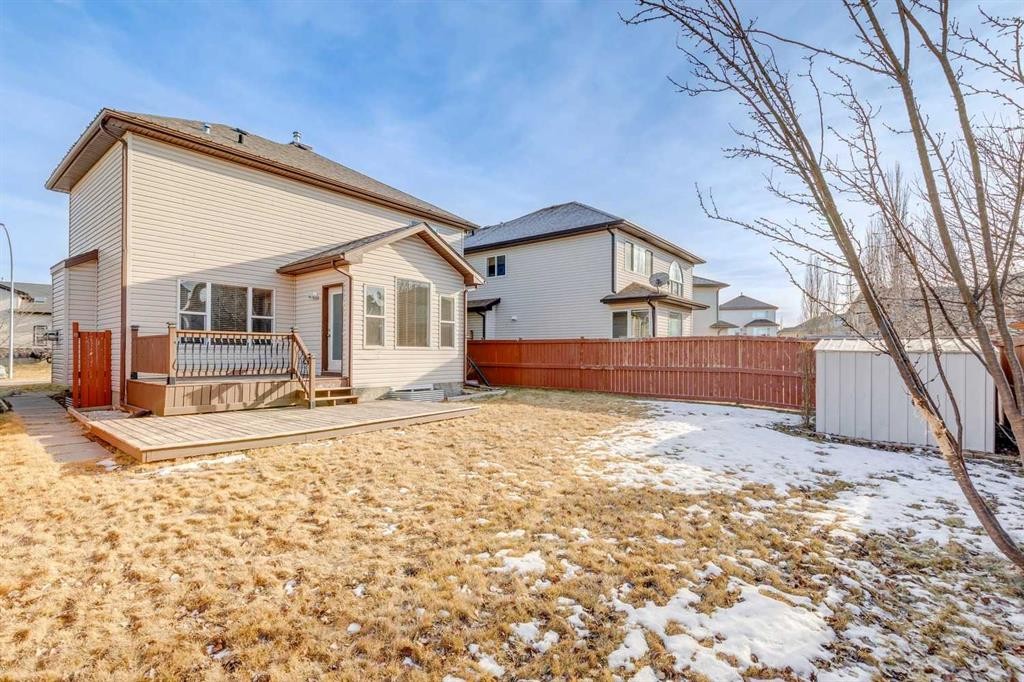 184 Cimarron Park Circle, Okotoks, AB - Outdoor