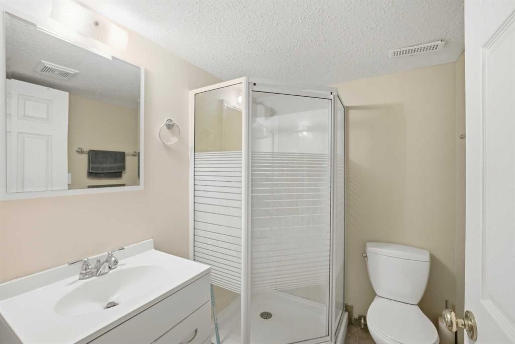 39 Saddlemont Close Ne, Calgary, AB - Indoor Photo Showing Bathroom