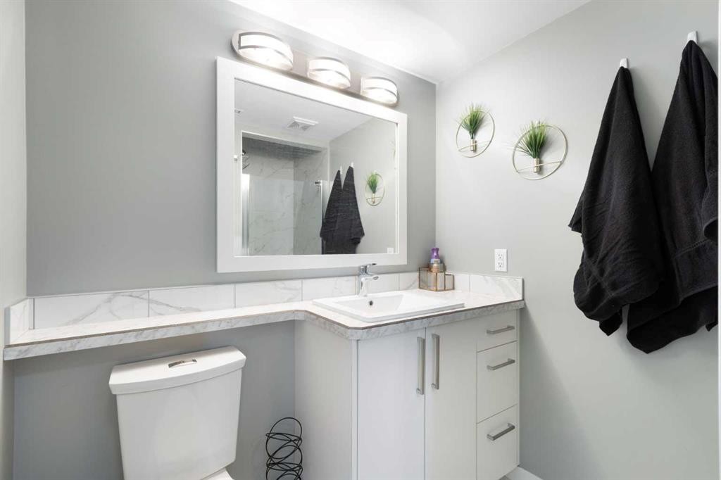 172 Rundlefield Crescent Ne, Calgary, AB - Indoor Photo Showing Bathroom