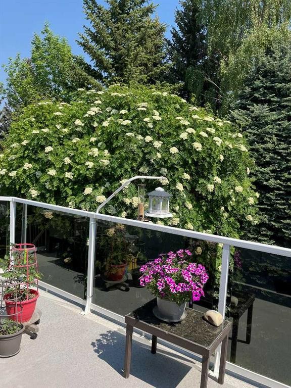 240 Varsity Estates Terrace Nw, Calgary, AB - Outdoor