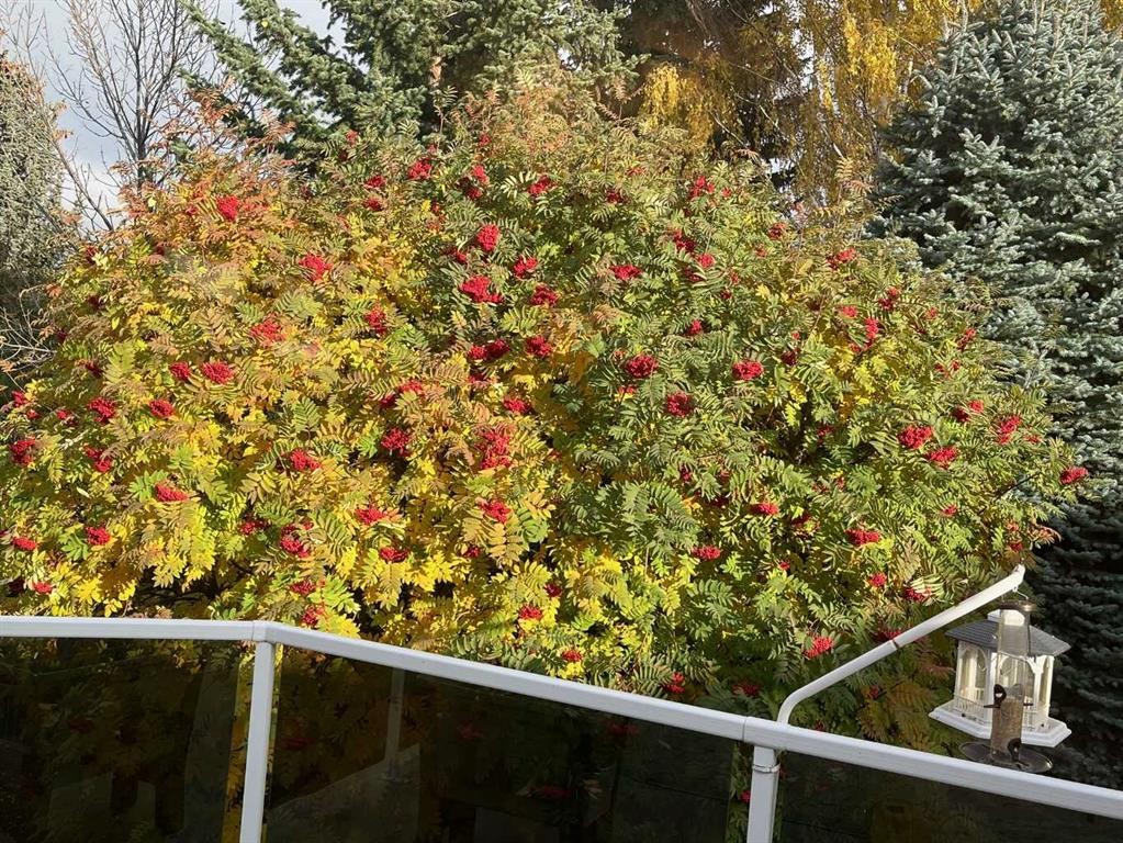 240 Varsity Estates Terrace Nw, Calgary, AB - Outdoor