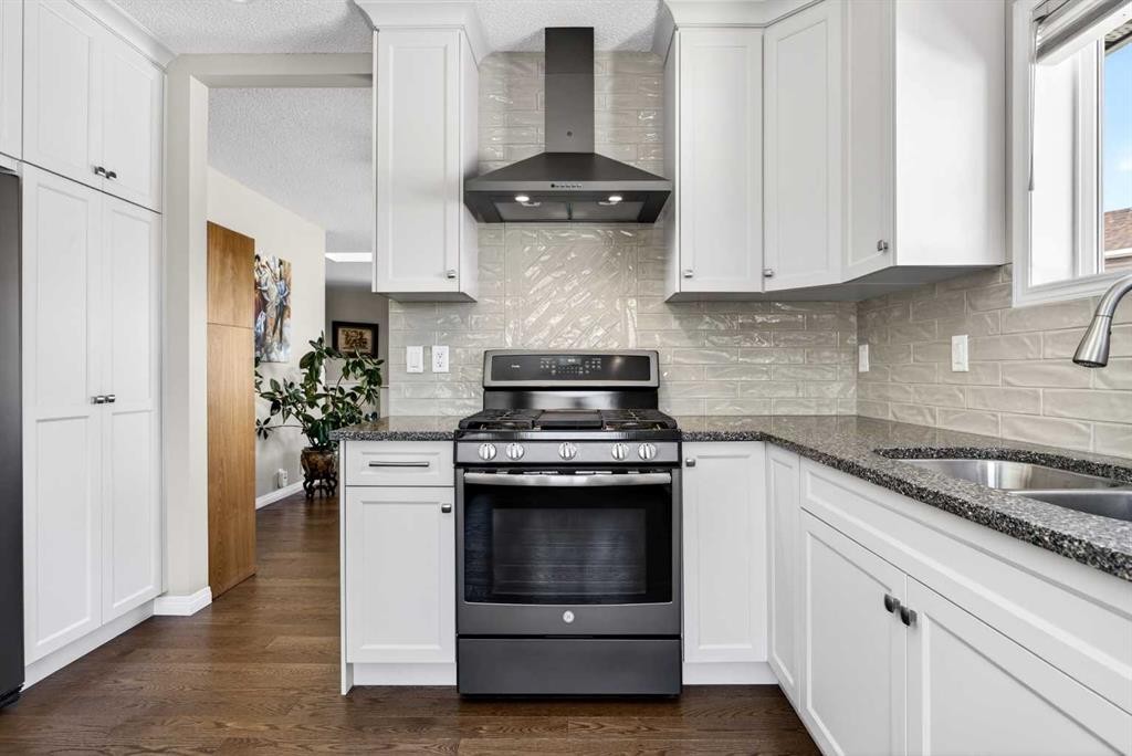 110 Citadel Crest Circle Nw, Calgary, AB - Indoor Photo Showing Kitchen With Double Sink