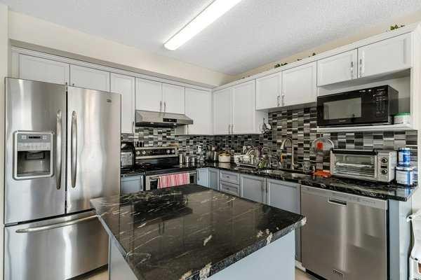 16 Saddletree Close Ne, Calgary, AB - Indoor Photo Showing Kitchen With Stainless Steel Kitchen With Upgraded Kitchen