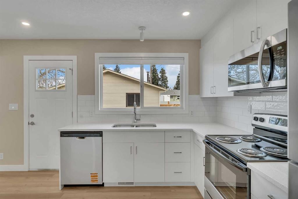 221 Madeira Crescent Ne, Calgary, AB - Indoor Photo Showing Kitchen With Double Sink