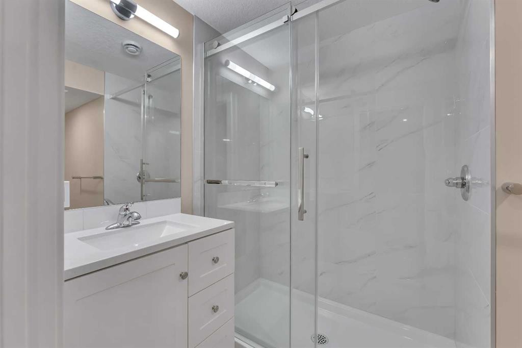 221 Madeira Crescent Ne, Calgary, AB - Indoor Photo Showing Bathroom