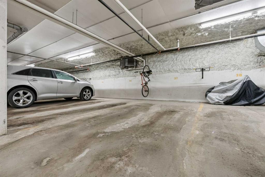 116-117 Copperpond Common Se, Calgary, AB - Indoor Photo Showing Garage