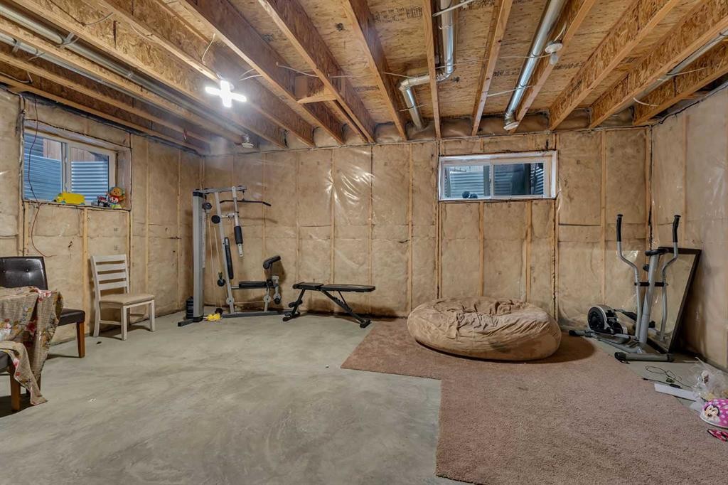 28 Saddlelake Common Ne, Calgary, AB - Indoor Photo Showing Basement