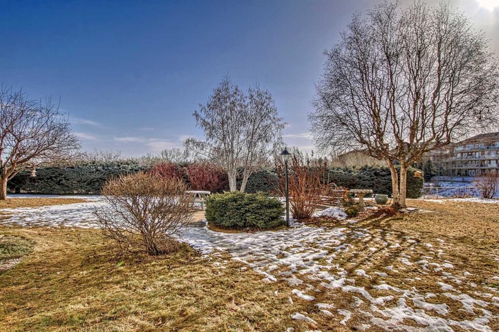 202-520 Cedar Crescent Sw, Calgary, AB - Outdoor With View