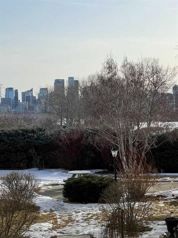 202-520 Cedar Crescent Sw, Calgary, AB - Outdoor With View