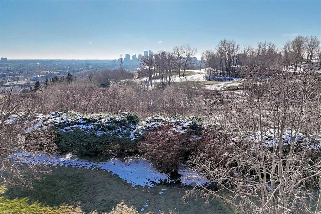 202-520 Cedar Crescent Sw, Calgary, AB - Outdoor With View