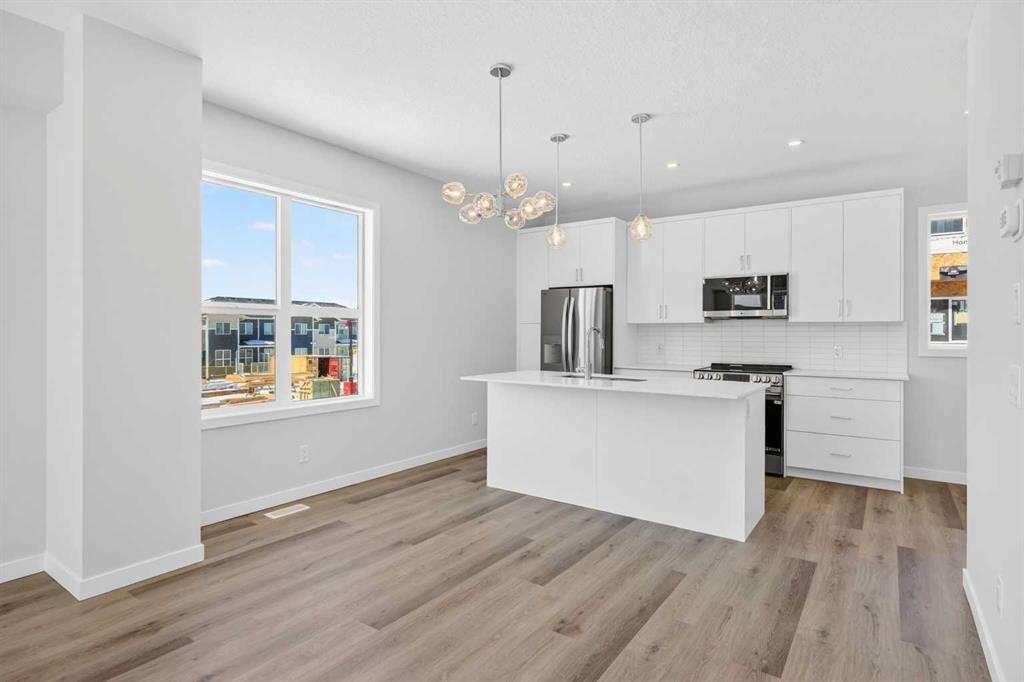 828-132 Red Embers Link Ne, Calgary, AB - Indoor Photo Showing Kitchen With Stainless Steel Kitchen With Upgraded Kitchen