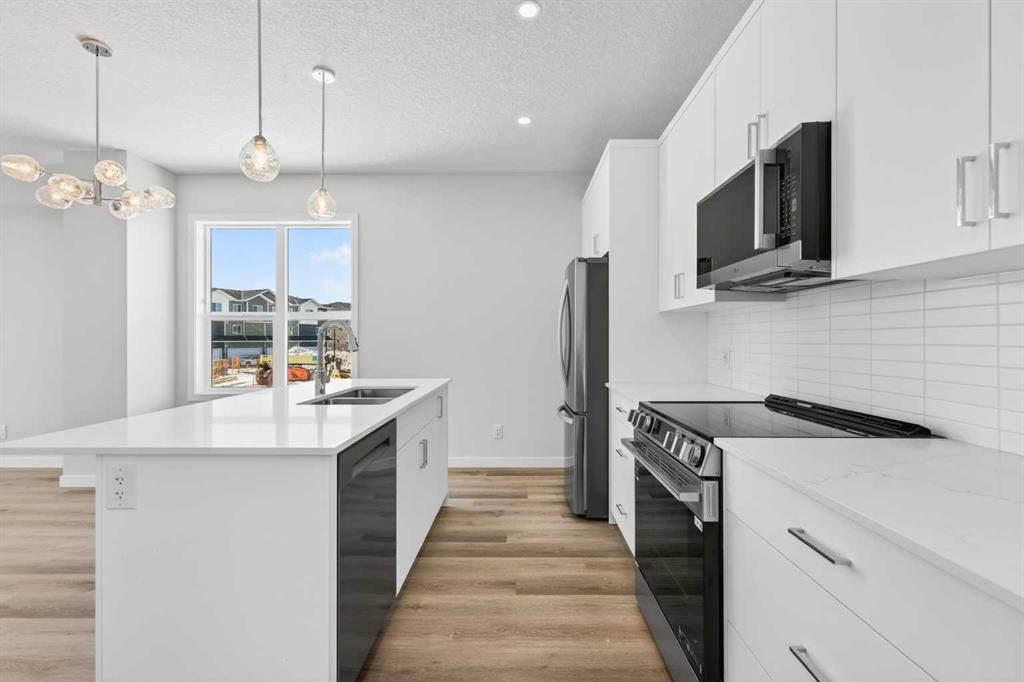 828-132 Red Embers Link Ne, Calgary, AB - Indoor Photo Showing Kitchen With Double Sink With Upgraded Kitchen