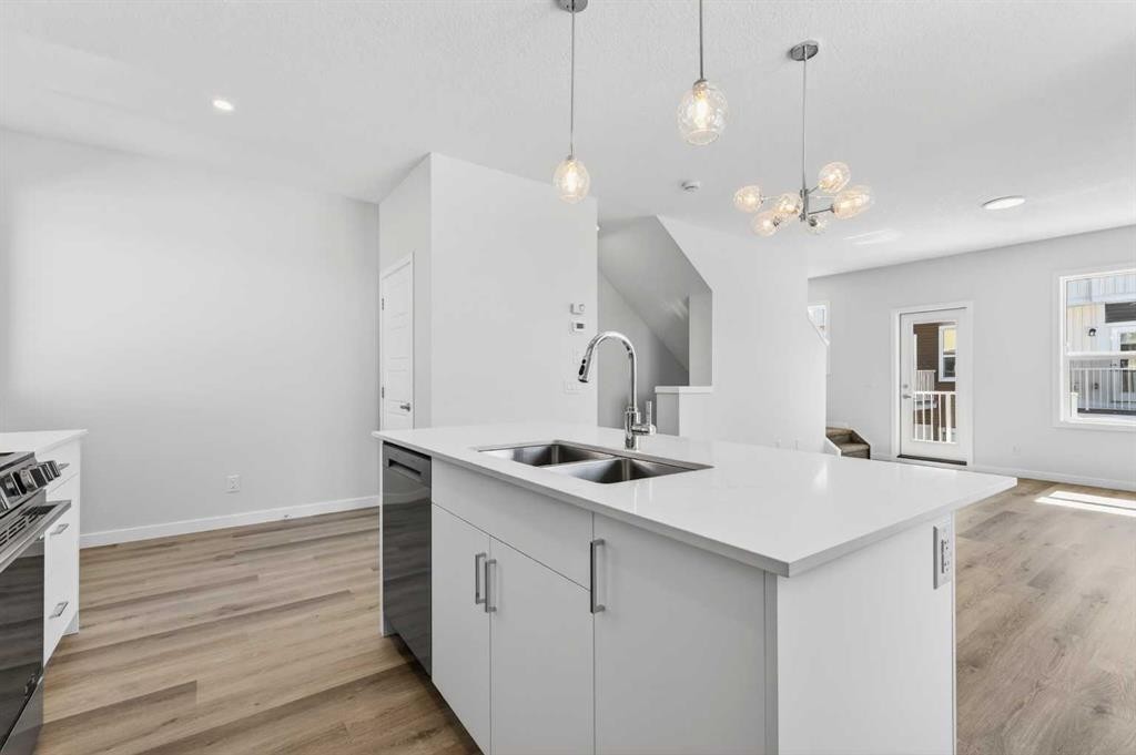 828-132 Red Embers Link Ne, Calgary, AB - Indoor Photo Showing Kitchen With Double Sink