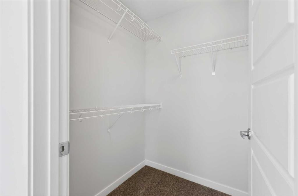828-132 Red Embers Link Ne, Calgary, AB - Indoor With Storage