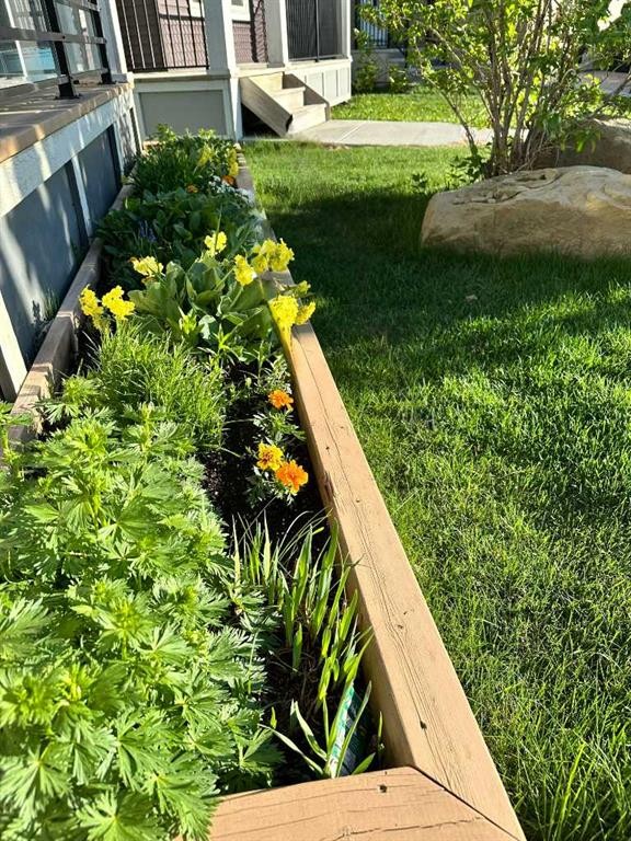 183 Savanna Parade Ne, Calgary, AB - Outdoor