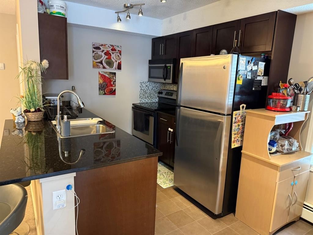 202-7210 80 Avenue Ne, Calgary, AB - Indoor Photo Showing Kitchen