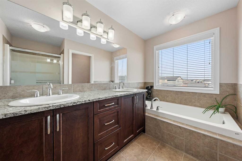 529 Saddlelake Drive Ne, Calgary, AB - Indoor Photo Showing Bathroom
