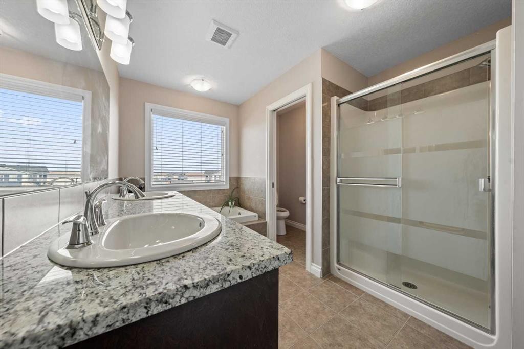 529 Saddlelake Drive Ne, Calgary, AB - Indoor Photo Showing Bathroom