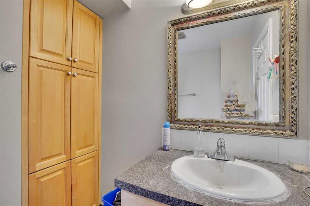 1468 Renfrew Drive Ne, Calgary, AB - Indoor Photo Showing Bathroom