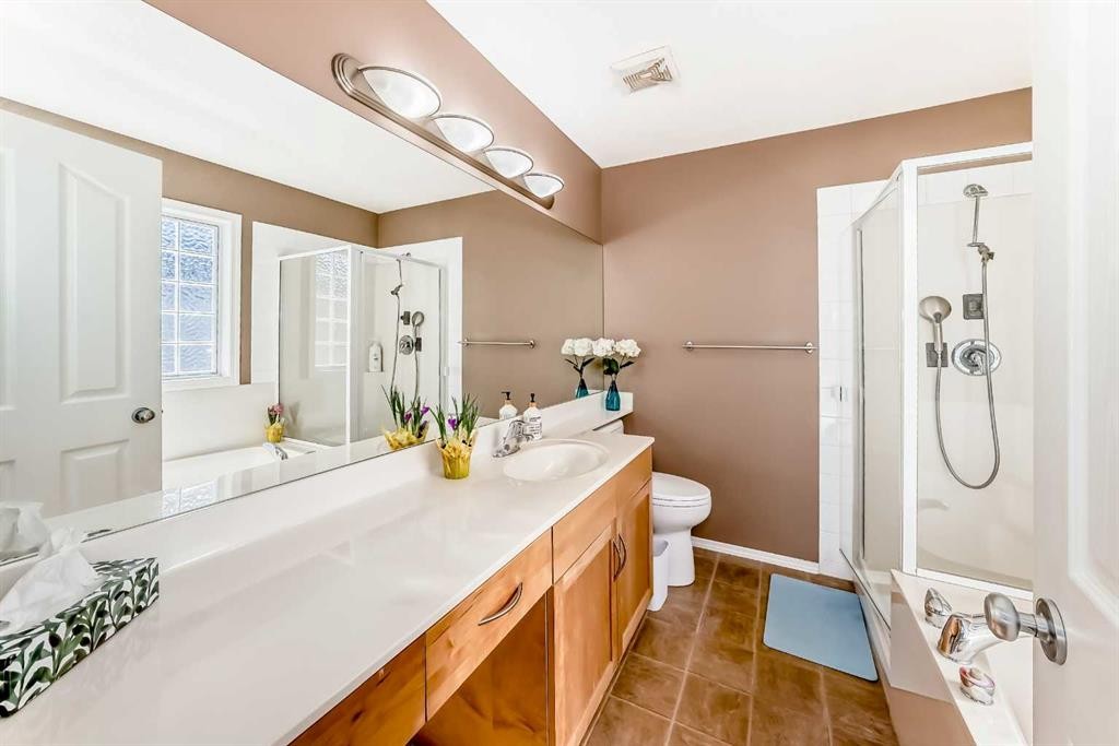 250 Royal Birch Way Nw, Calgary, AB - Indoor Photo Showing Bathroom