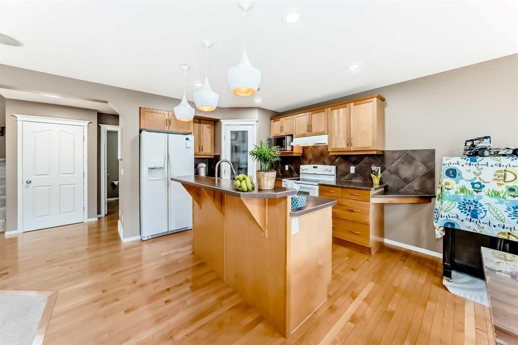 250 Royal Birch Way Nw, Calgary, AB - Indoor Photo Showing Kitchen