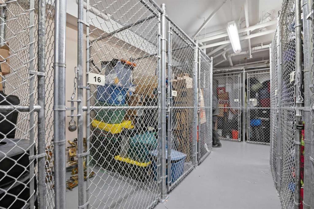 207-39 Quarry Gate Se, Calgary, AB - Indoor With Storage