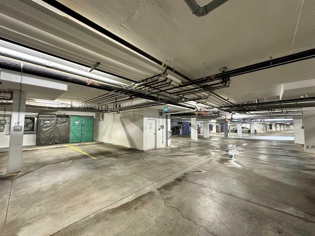 2416-200 Seton Circle Se, Calgary, AB - Indoor Photo Showing Garage