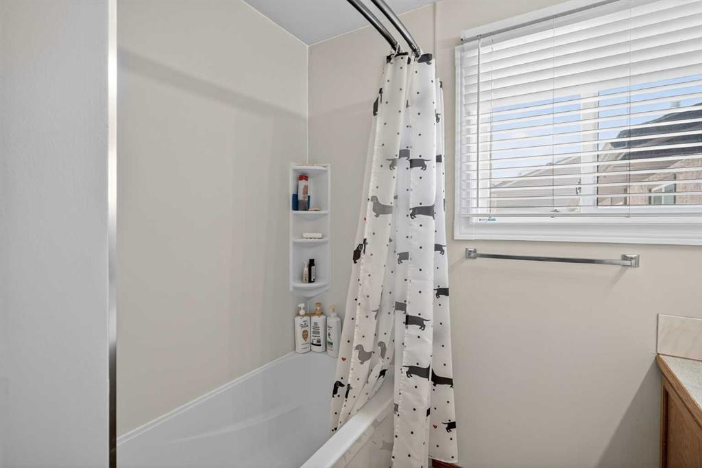 116 Templemont Circle Ne, Calgary, AB - Indoor Photo Showing Bathroom