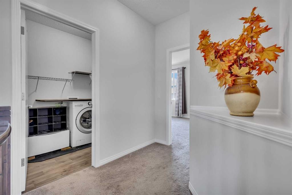44 Cityside Rise Ne, Calgary, AB - Indoor Photo Showing Laundry Room