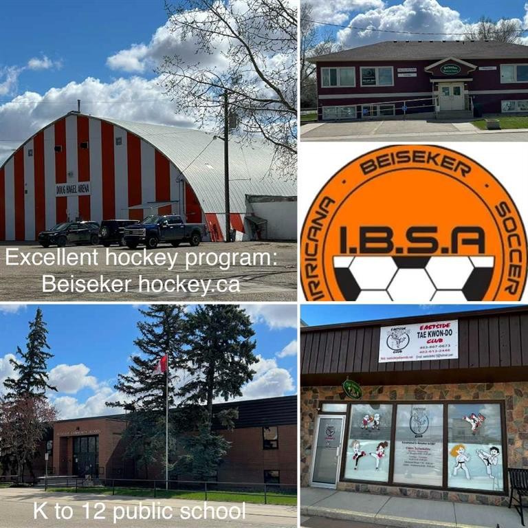 23 Beaver Place, Beiseker, AB - Outdoor