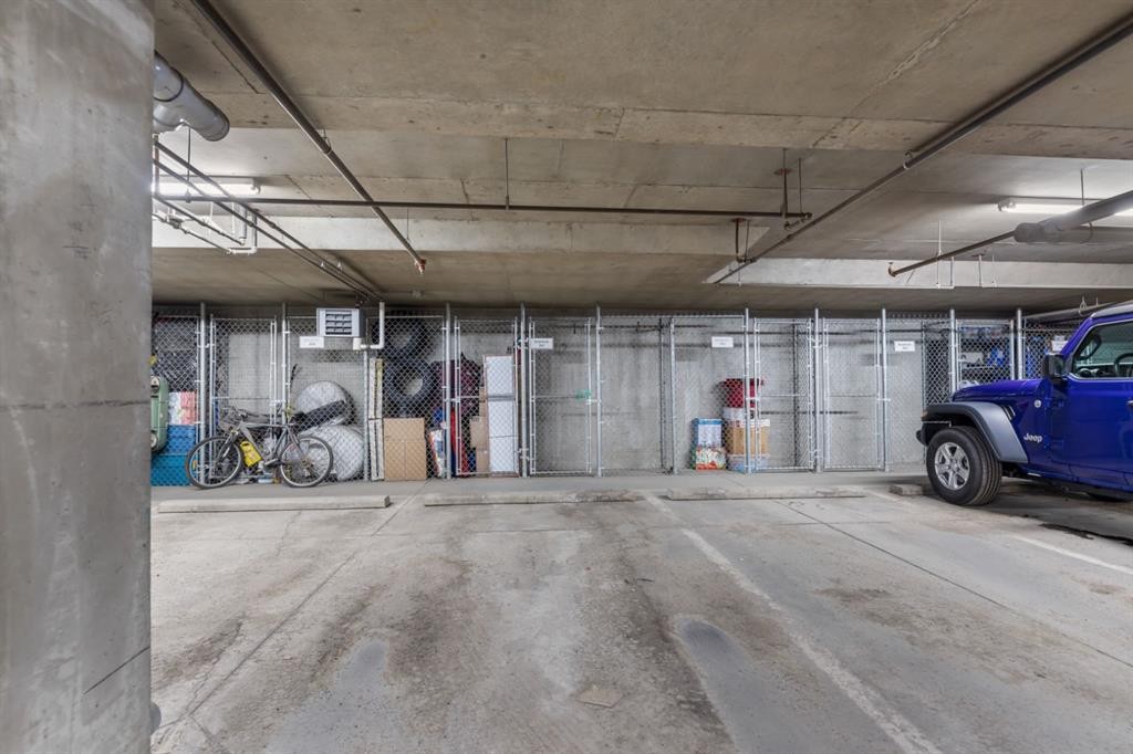 3306-279 Copperpond Common Se, Calgary, AB - Indoor Photo Showing Garage